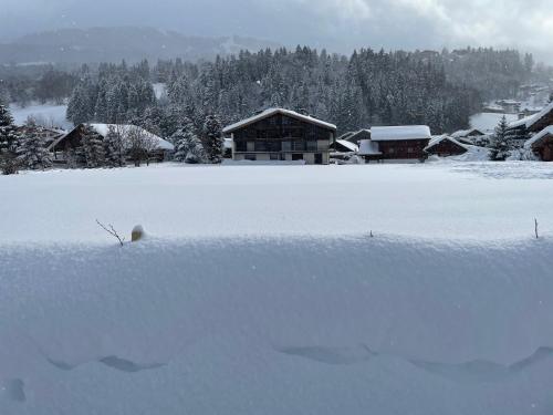 a yard covered in snow with a house in the background at Chalet Esquinade 4 bedrooms appartment Megève in Megève