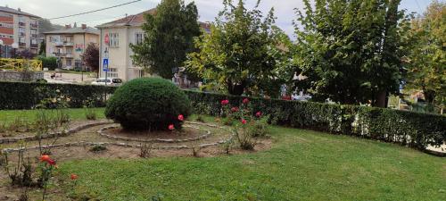 a garden with a bush in the middle of a yard at Apartman Mali Raj Rudnik II in Rudnik Kačerski
