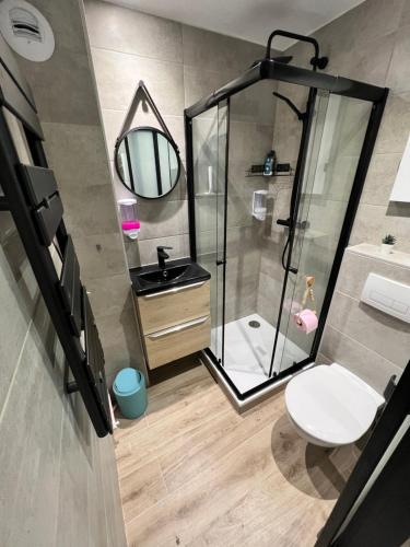 e bagno con doccia, servizi igienici e lavandino. di Le Panorama du Murat Mulhouse Riedisheim a Riedisheim