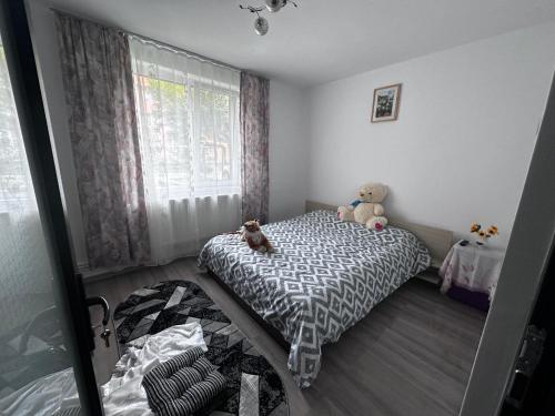 ein Schlafzimmer mit einem Bett mit einem Teddybär drauf in der Unterkunft Cășu Home in Lupeni