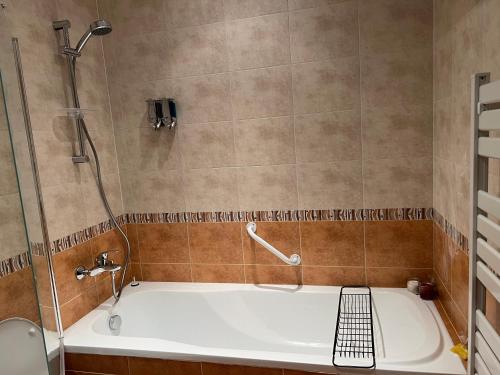 Ένα μπάνιο στο Luxury Studio in Alpinе Lodge FREE SPA