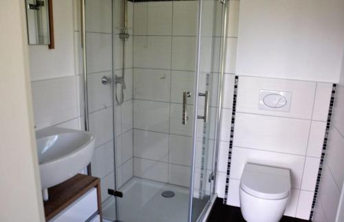 Pruchten的住宿－Haus Matti，带淋浴、卫生间和盥洗盆的浴室