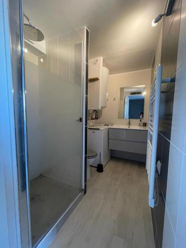 une salle de bain avec douche et lavabo dans l'établissement Plage à 100 m - Appart Moderne !, à Bretignolles-sur-Mer
