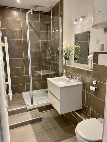 une salle de bain avec une douche, un lavabo et des toilettes dans l'établissement Proche Gare et Gem: tout équipé,wifi fibre, balcon, à Grenoble