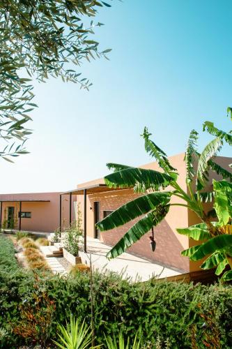 a building with a bunch of plants in front of it at eftopia in Balodhimaíika