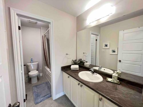 ナイアガラ・フォールズにあるLes eaux melees nice vacation placeの洗面台とトイレ付きのバスルーム