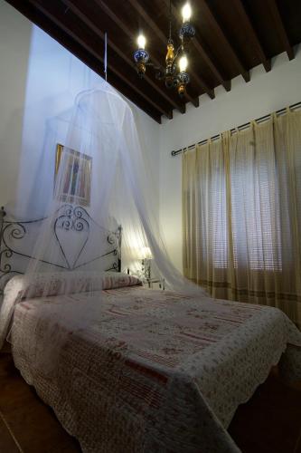 a bedroom with a bed with a mosquito net at La Posada De Carmen in Níjar