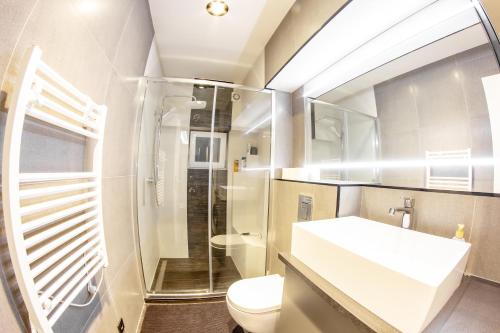 a bathroom with a shower and a toilet and a sink at Victoria Suites in Siófok