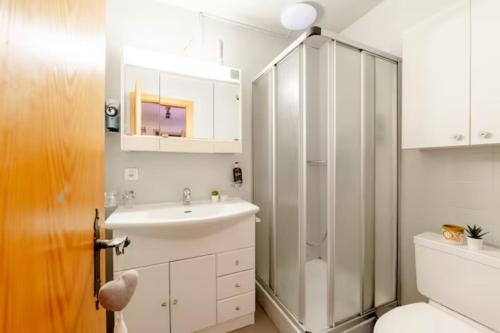 a bathroom with a shower and a sink and a toilet at Cosy Centered with Garden and View in Veysonnaz in Veysonnaz