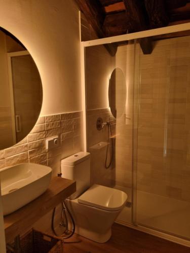ein Bad mit einem WC, einem Waschbecken und einer Dusche in der Unterkunft Alojamientos El lecho in Treceño