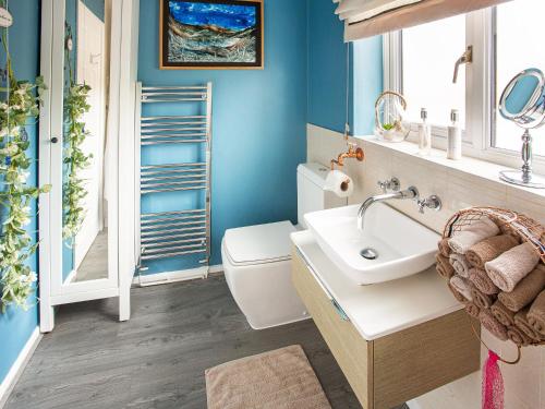 a bathroom with blue walls and a sink and a toilet at Tean House in Totmonslow