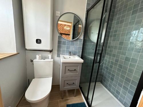 a bathroom with a toilet and a sink and a shower at Gite de groupe confortable et lumineux - La ferme de Montigny in Neauphe-sur-Dives