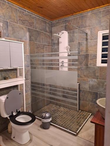a bathroom with a shower with a toilet and a sink at Le Chalet Kréol in Saint-Joseph