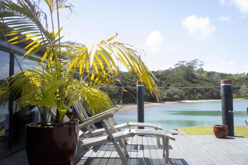 a pair of white chairs and a plant on a porch at Driftwood Paradise in Purerua