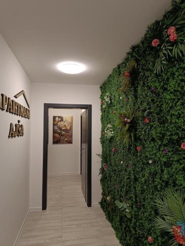 Φωτογραφία από το άλμπουμ του Apartments Ajša στο Σαράγεβο