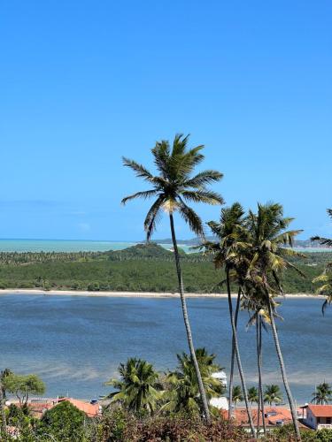 a group of palm trees next to a beach at Quarto Sertão no Mar in Barra do Cunhau