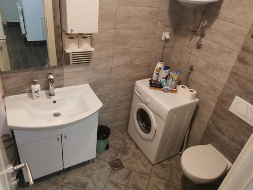 La salle de bains est pourvue d'un lavabo et d'un lave-linge. dans l'établissement APARTMAN APOLON, à Doboj