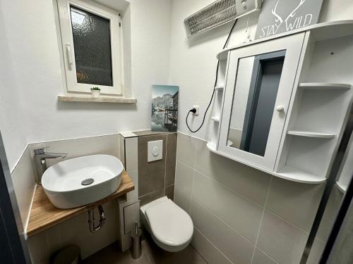 a small bathroom with a sink and a toilet at Tiny Ferienhaus Greizer Str 26 in Reichenbach im Vogtland