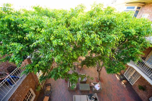 an overhead view of a large tree in a courtyard at Horton Grand Hotel in San Diego
