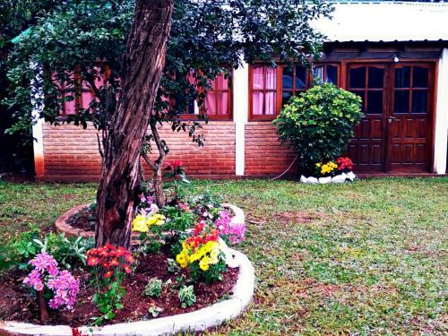 Cabaña Flowers – Photos 2