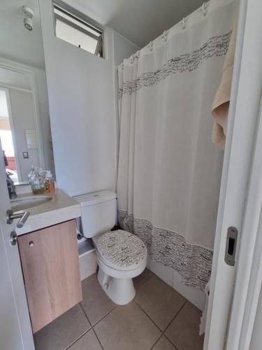 y baño con aseo, lavabo y ducha. en Arriendo vacaciones reñaca, en Viña del Mar