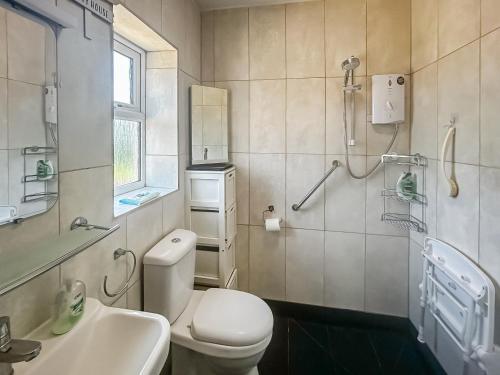uma casa de banho com um WC, um lavatório e um chuveiro em The Lodge em Pauntley