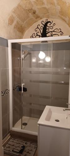 une salle de bain avec douche et lavabo dans l'établissement Studio Hypercentre Tourny, à Bordeaux