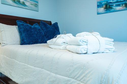 PALM COVE VACATION HOME- One level, Community pool, Pet Friendly photo 22