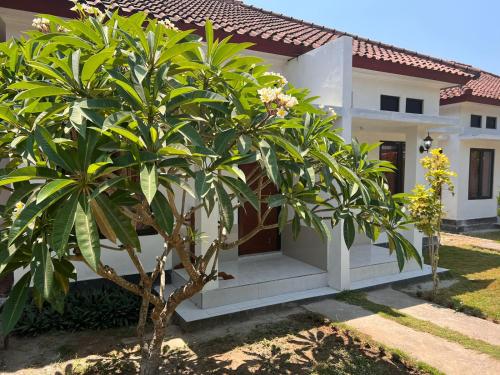 une maison blanche avec un arbre en face dans l'établissement Sayang Bungalows, à Kuta Lombok
