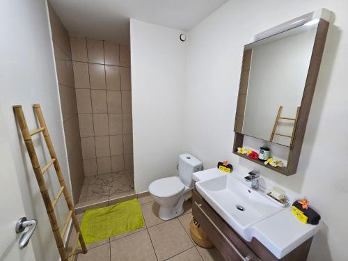a bathroom with a toilet and a sink and a mirror at Studio Papeete City Center in Papeete
