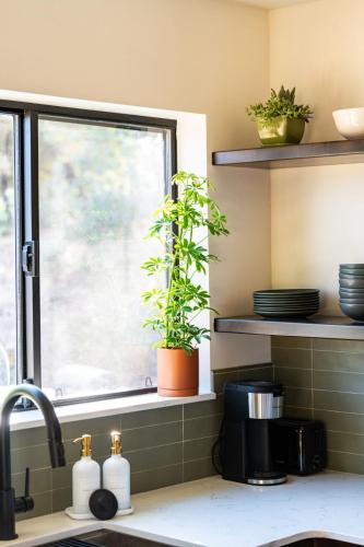 a kitchen with a sink and a window with plants at Manzanita Rest in Mariposa