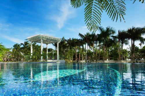 三亞的住宿－三亞福朋喜來登酒店，一座棕榈树环绕的游泳池