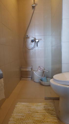 uma casa de banho com um WC e um tapete em St. Honoré & St. Dominique em Iloilo
