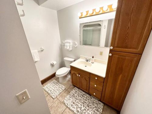 a bathroom with a sink and a toilet and a mirror at Spacious Home Lake Minnetonka Downtown Excelsior in Excelsior