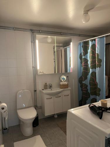 a bathroom with a toilet and a sink and a mirror at Storahuset Helsingborg in Helsingborg