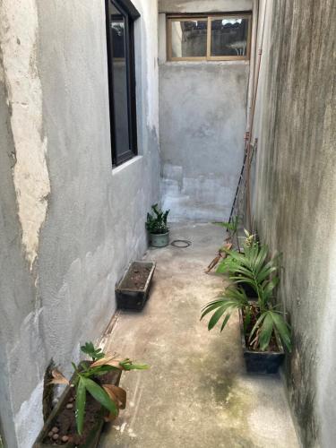 Casa quintal – Photos 3