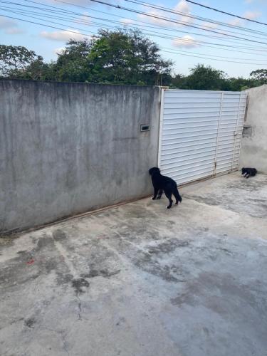 Casa quintal – Photos 2