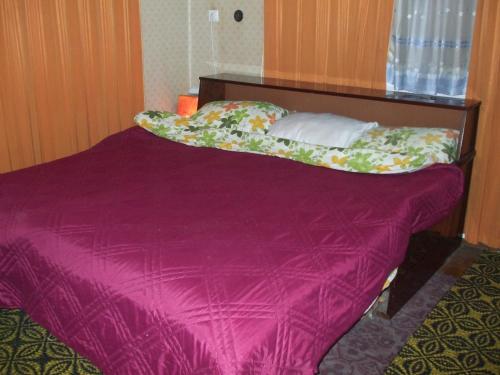 トゥルゴヴィシテにあるDaneto Apartmentの紫色の掛け布団付きのベッド1台