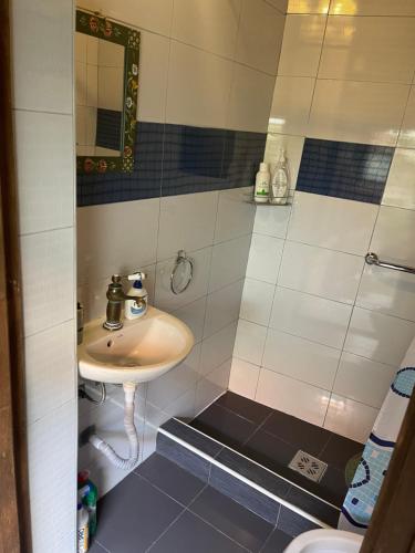 a bathroom with a sink and a shower at Casa Morar in Sighişoara