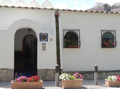 a white building with two windows and flowers in pots at La Tavolozza Residence in Positano