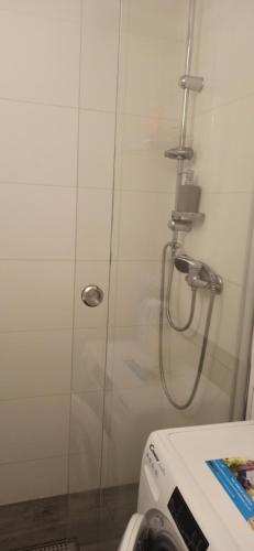 Una ducha con puerta de cristal al lado de un inodoro. en príjemné bývanie, v tichej lokalite, výťah, en Rimavská Sobota