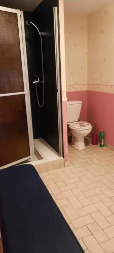 a bathroom with a shower and a toilet at plain-pied proche base de loisirs et voie verte in Saulxures-sur-Moselotte