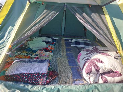 a group of beds in a camping tent at Phulomnum resort in Khao Kho