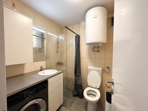 een badkamer met een toilet en een wastafel bij Apartma Prisojnik Kranjska Gora in Kranjska Gora