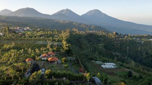 an aerial view of a farm with mountains in the background at Munduk Tentrem Resort in Munduk
