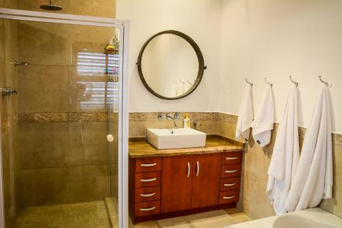 uma casa de banho com um lavatório, um chuveiro e um espelho. em Farmhouse chic em Parys