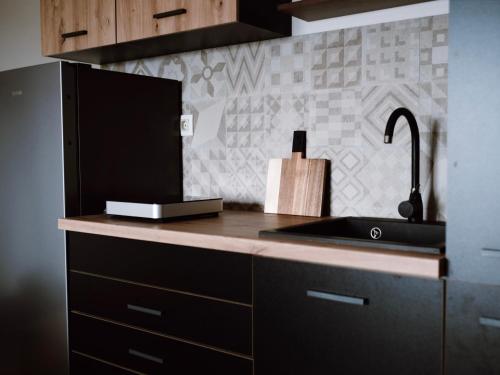 a kitchen with a sink and a black refrigerator at Wine Residence Kerman - Wine and Wellness Retreat in Sveti Urban in Štrigova