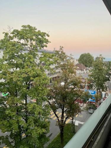Blick auf eine Stadtstraße mit Bäumen und Gebäuden in der Unterkunft Gemütliche 1,5 Wohn.: Komfort und Still in Bern