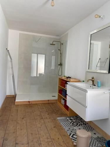 une salle de bain avec une douche, un lavabo et un miroir dans l'établissement Maison de la Lys, à Aire-sur-la-Lys