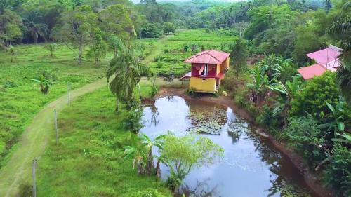 Manikgoda Tea Paradise في ماتوغاما: اطلالة جوية على منزل وسط نهر